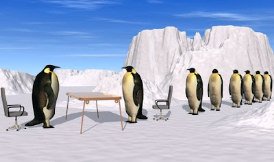 Penguins on a job interview
