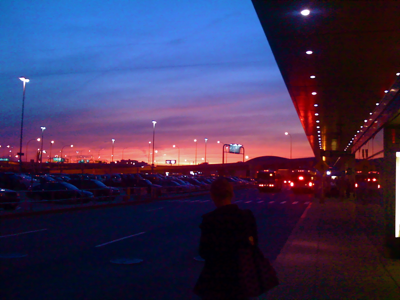 [IMG_0164.JPG]