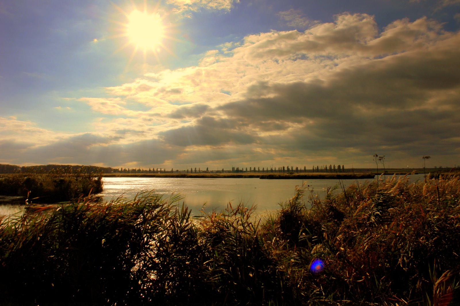 [DSC08613.JPG]
