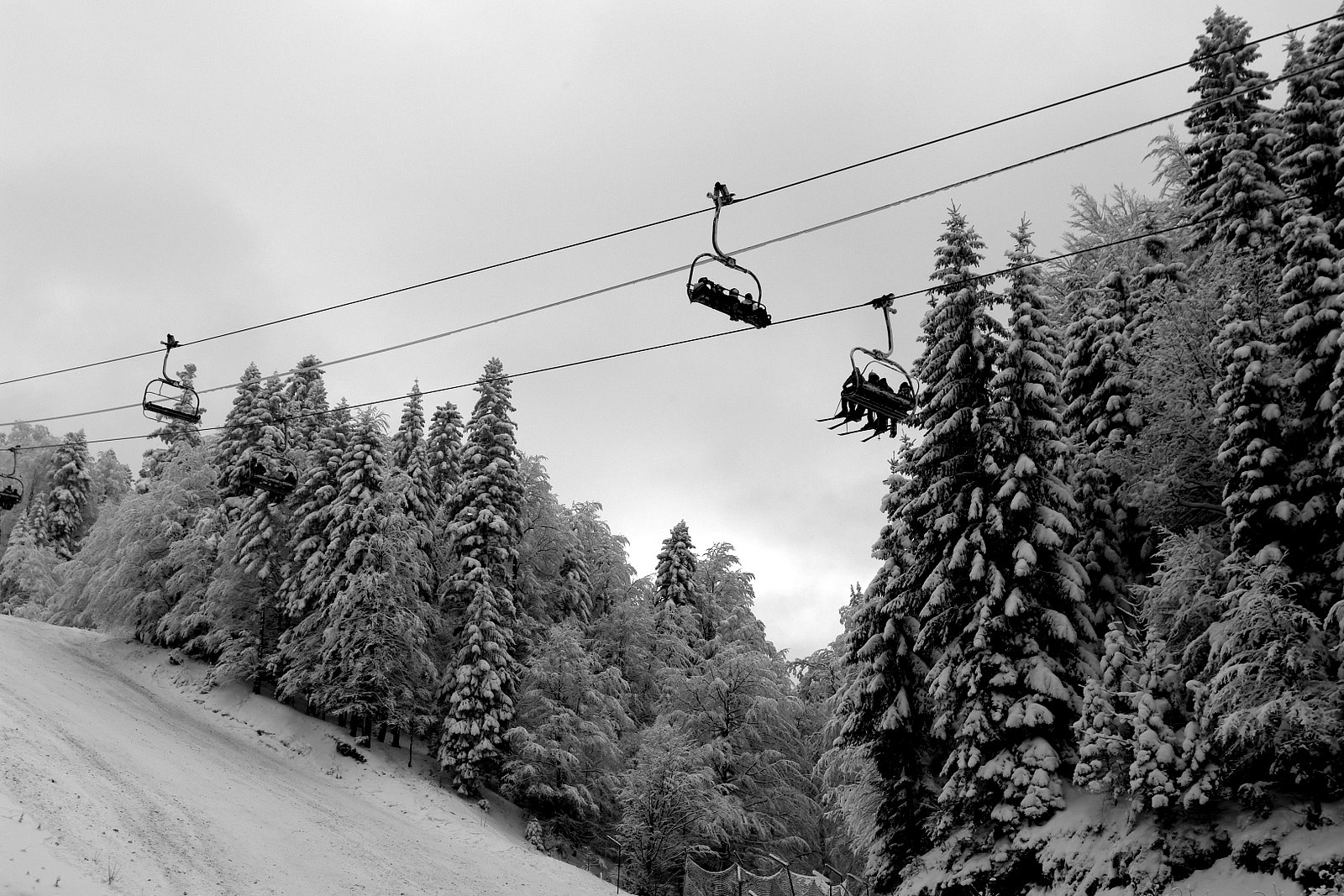 [_DSC0710.JPG]
