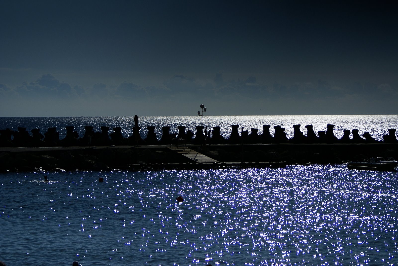 [DSC08514.JPG]