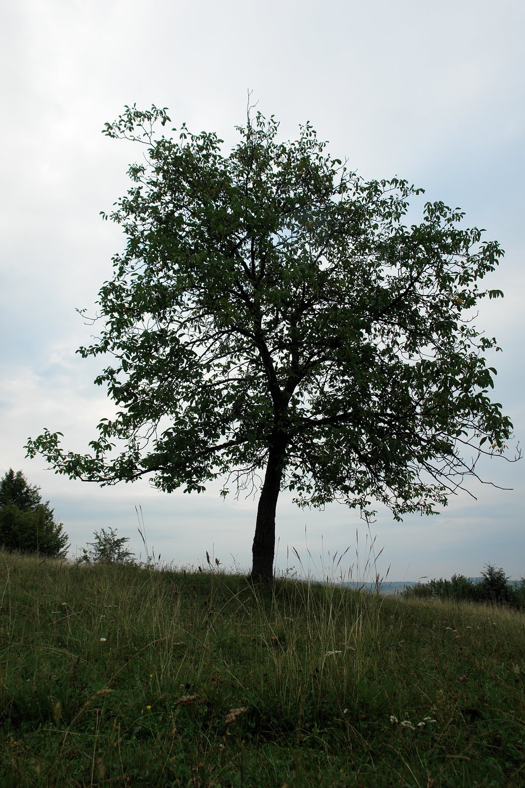 [DSC09964.JPG]