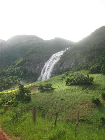 [Natureza1.jpg]
