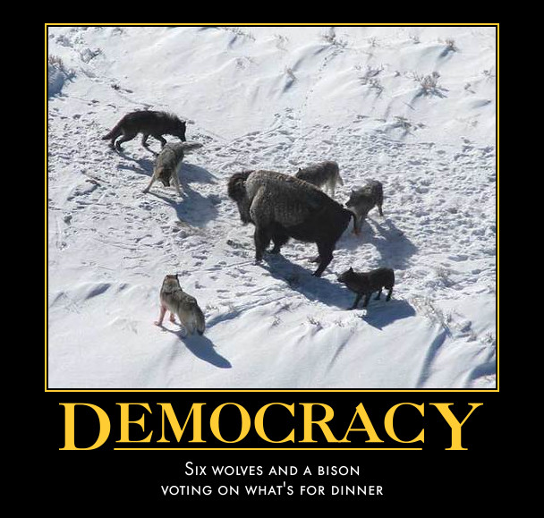 Democracy - It's what's for dinner Democracy - It's what's for dinner
