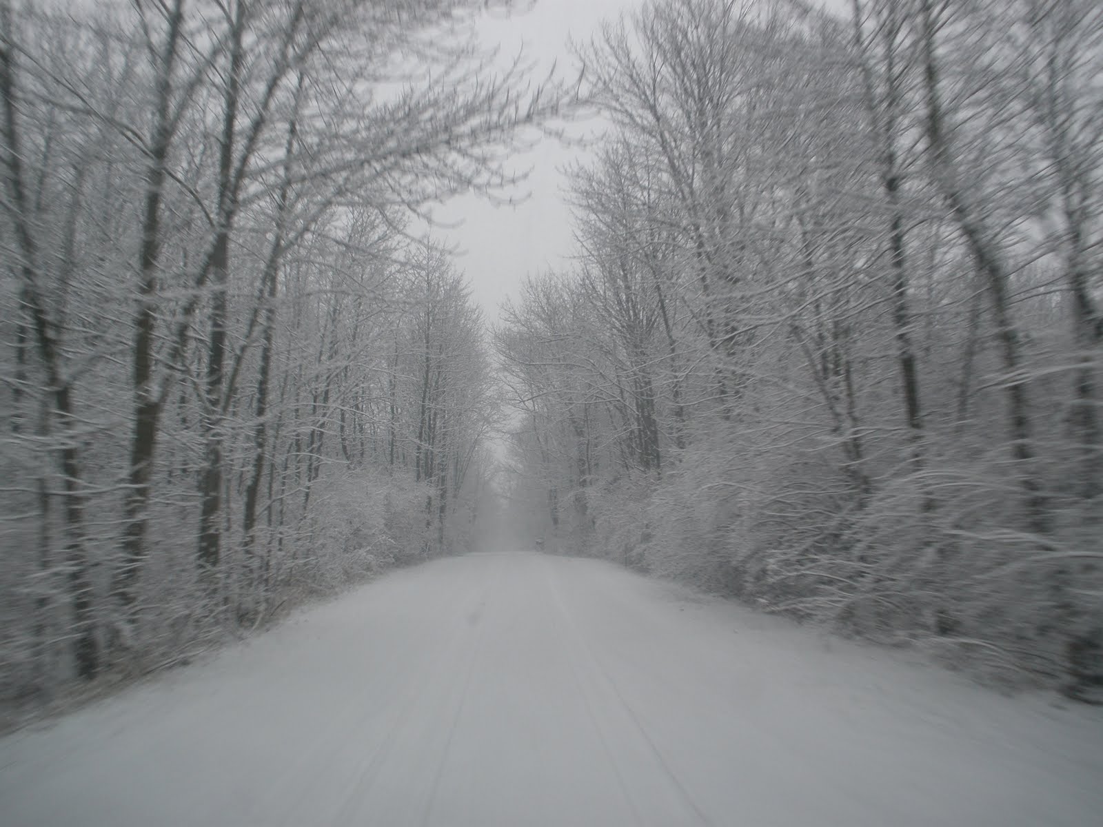 [Rita's+Indiana+Winter+027.jpg]