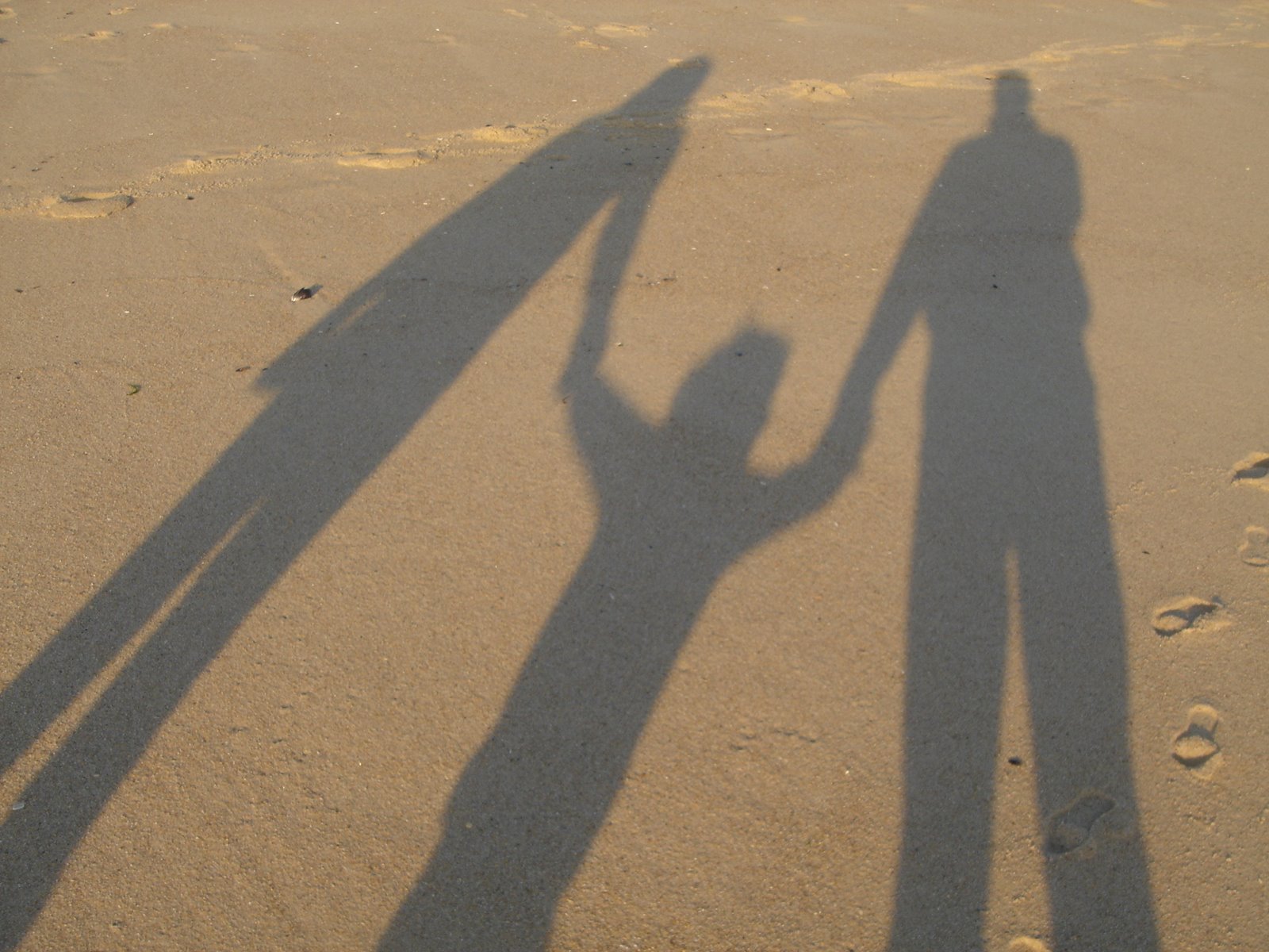 [DSC07070.JPG]
