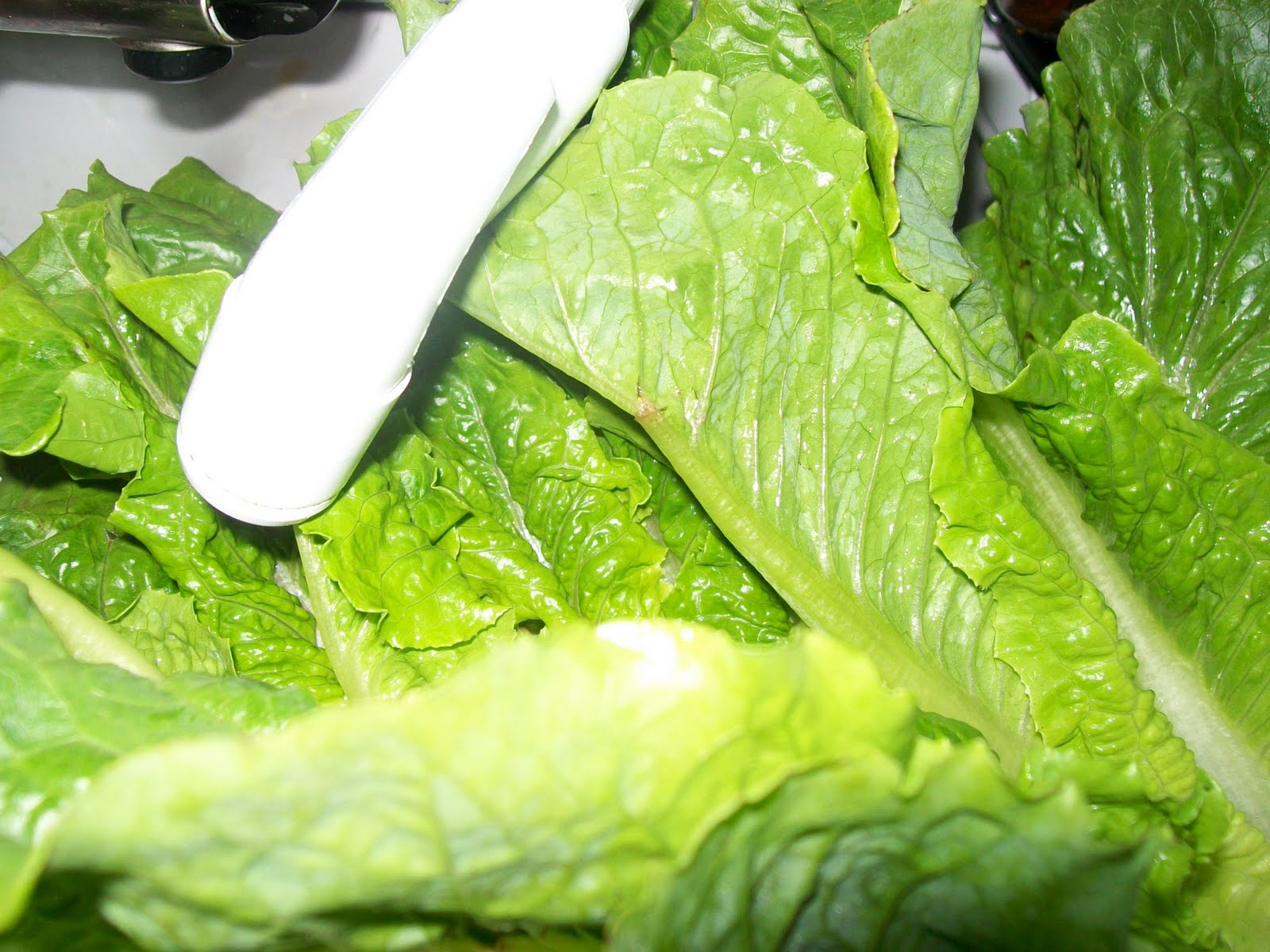 Michigan Cottage Cook MONTANA BACON, LETTUCE AND TOMATO SALAD WITH