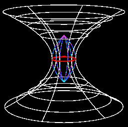 [Agu_negro_blanco_ag_gusano.gif]