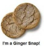 Ginger Snap