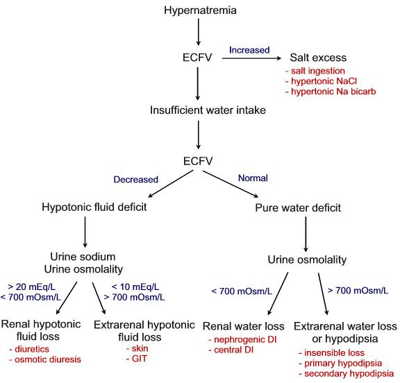 Few Important Things to know: Hypernatremia Diagnosis Few Important Things to know: Hypernatremia Diagnosis