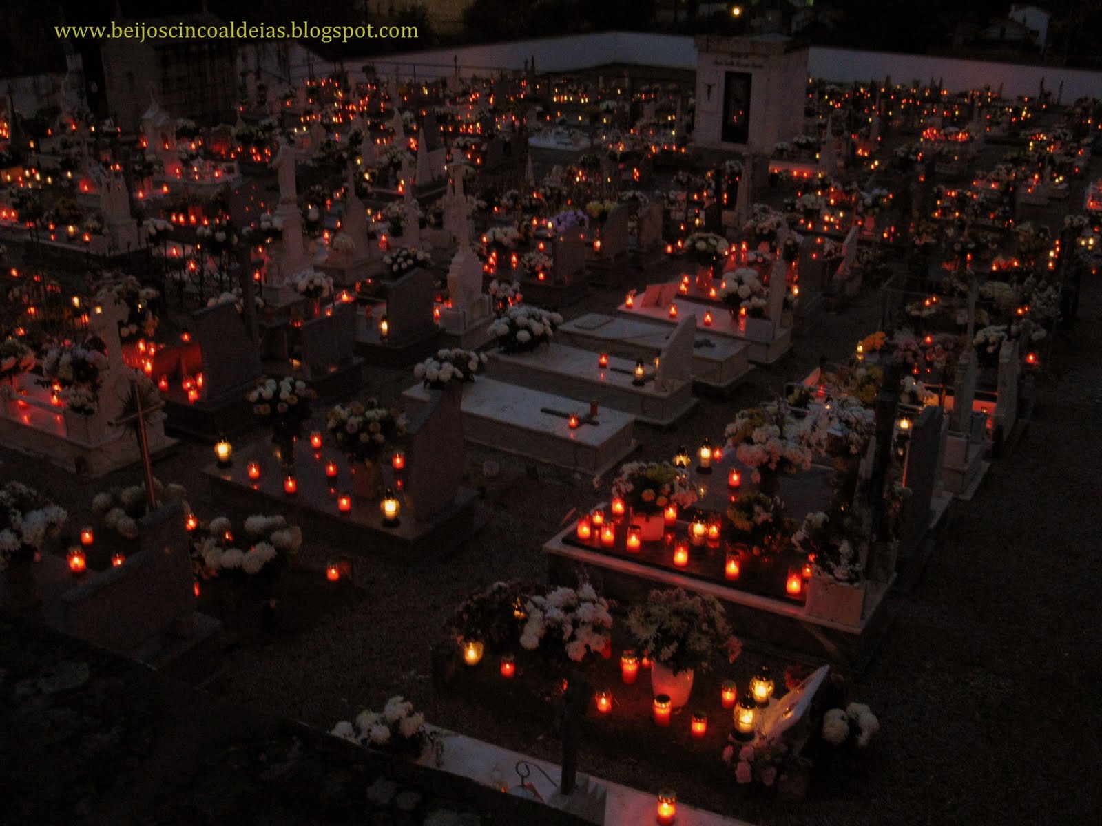 [20091110_50.JPG]