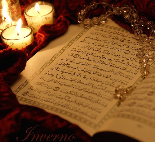 نقره لعرض الصورة في صفحة مستقلة