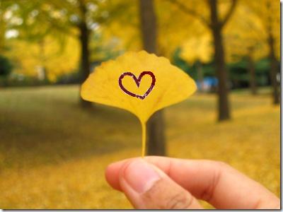 [leaf.jpg]