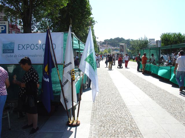 [DSC03713.JPG]