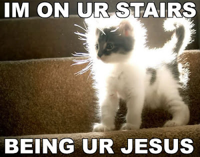 Post pics of cats Jesus+cat
