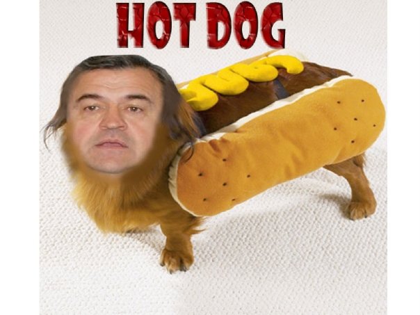 kirtchnner kirtchnner