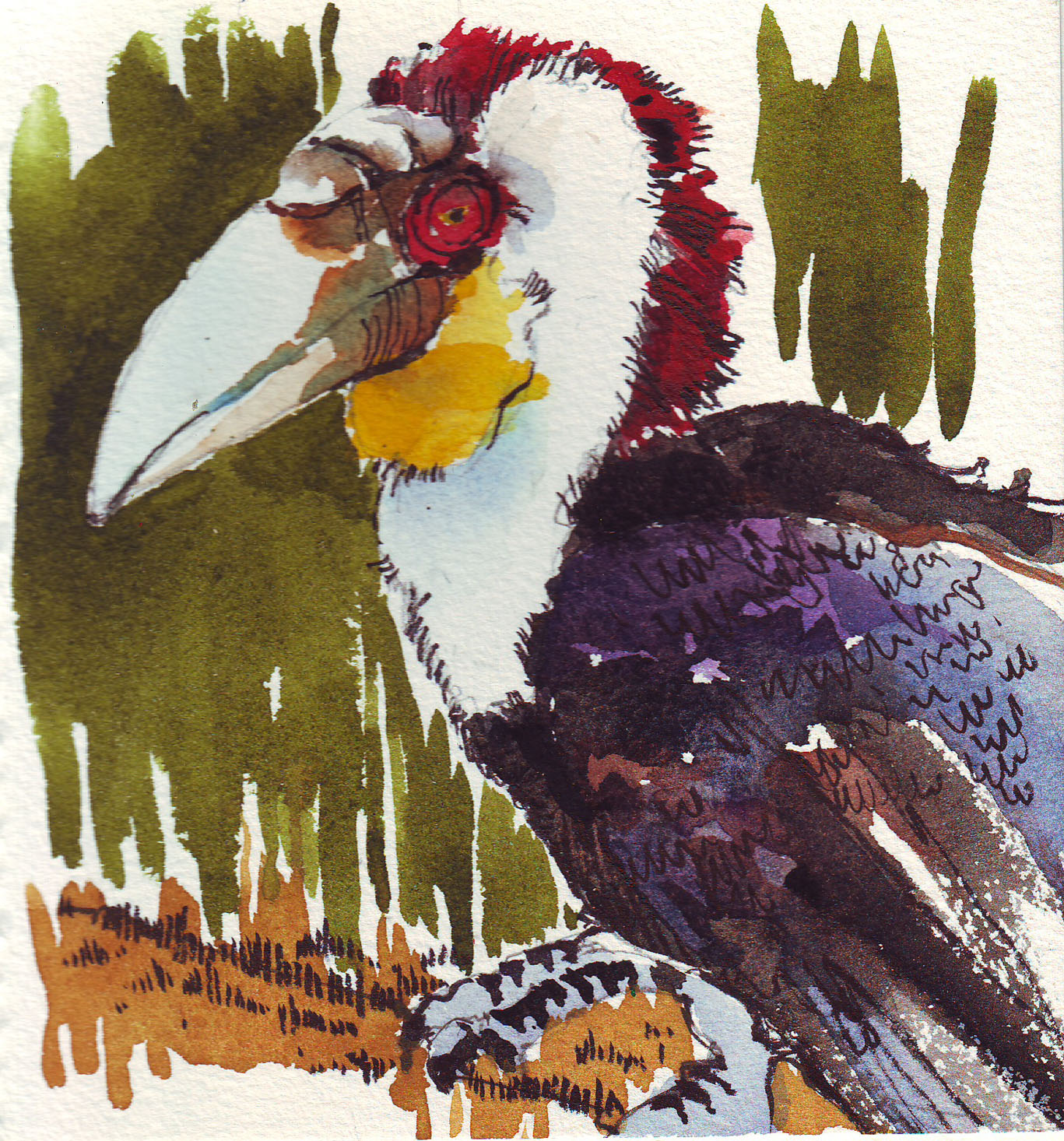 [Tucan.jpg]
