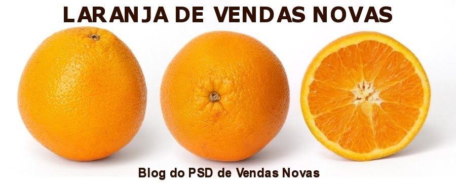 LARANJA DE VENDAS NOVAS