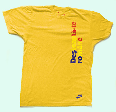 flynxs euro 2008 romania