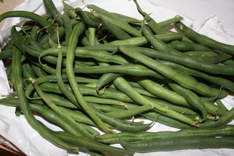 Come en Casa: Judías verdes redondas y ecológicas