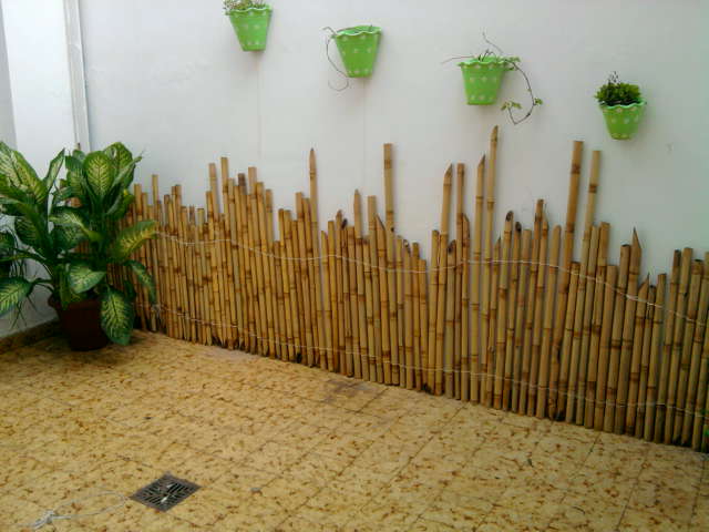 Carla Camilo Como fazer um belo jardim gastando pouco! Carla Camilo Como fazer um belo jardim gastando pouco!