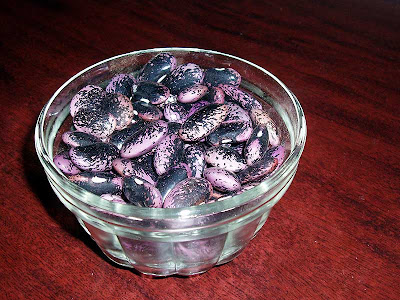 These are the Scarlet Runner beans that we saved from last year.