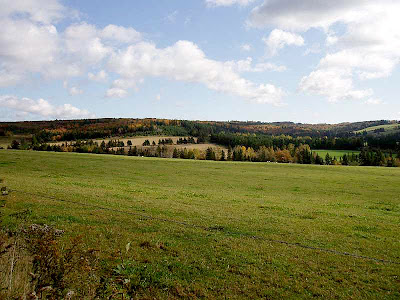 The fall colours lighting up the hills behind this cow pasture.