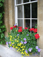Window Box