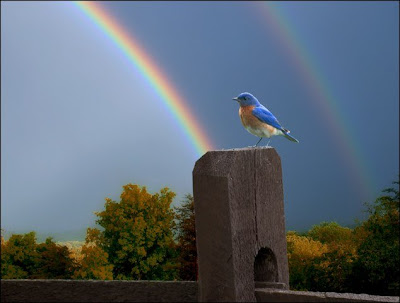 wallpaper rainbow. wallpaper of rainbow. wallpaper rainbow.