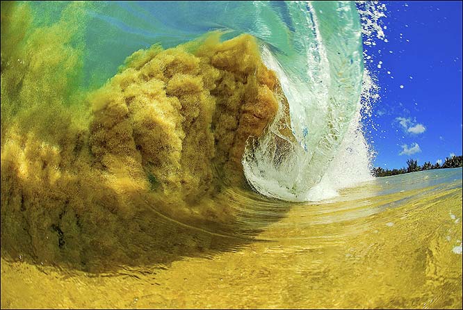 surf wave surf wave