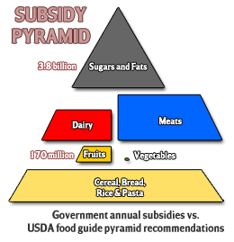 food-pyramid-government-subsidies.gif