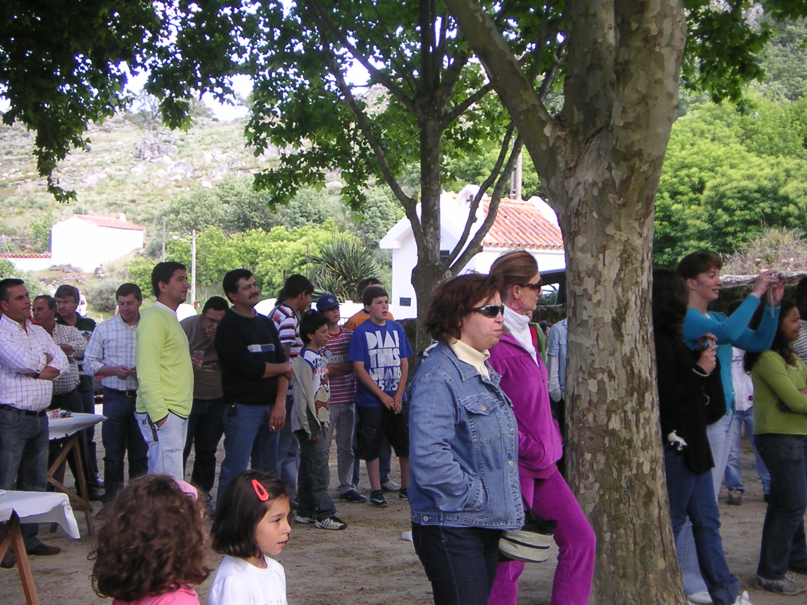 [PICT0019.JPG]