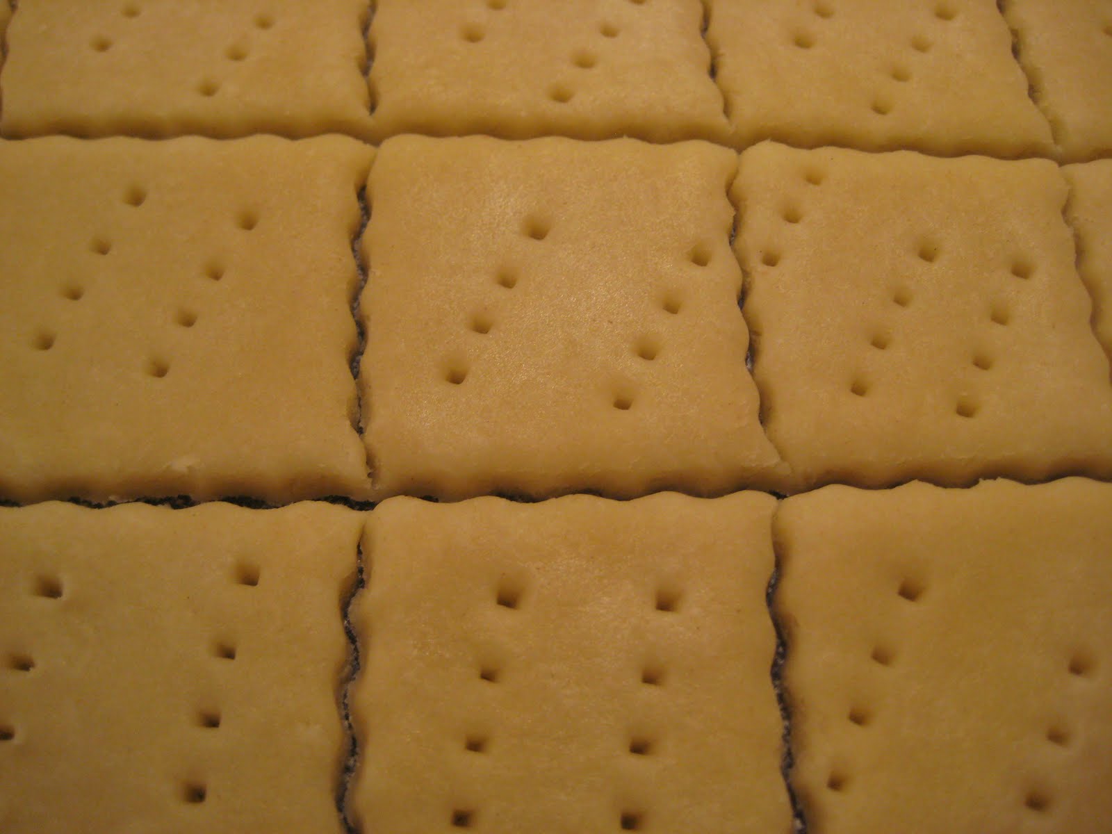 [Kamerabilleder+167.jpg]