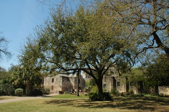 [Alamo02.jpg]