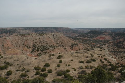 [Palo_Duro01.jpg]