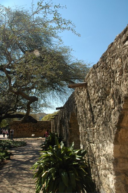 [Alamo04.jpg]