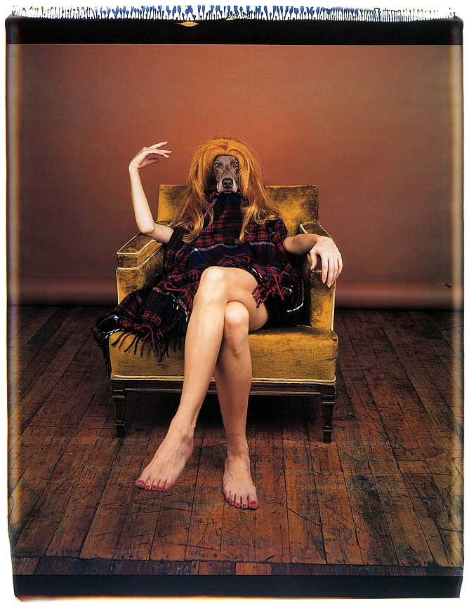 William Wegman Videos