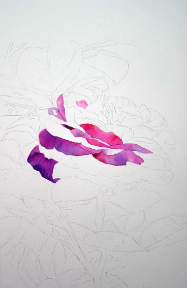 [Heidi+Klum+Rose+-+WIP+1.jpg]