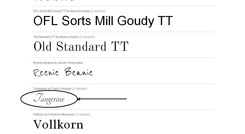 google font name google font name