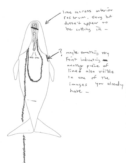 [RW+1424+entanglement+sketch.jpg]