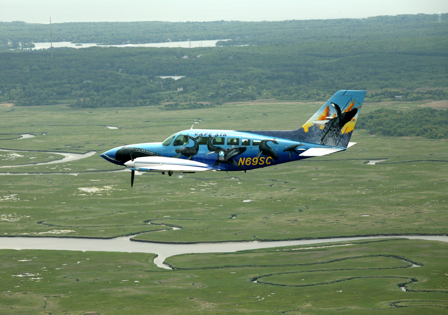 [Whale_Plane2.JPG]