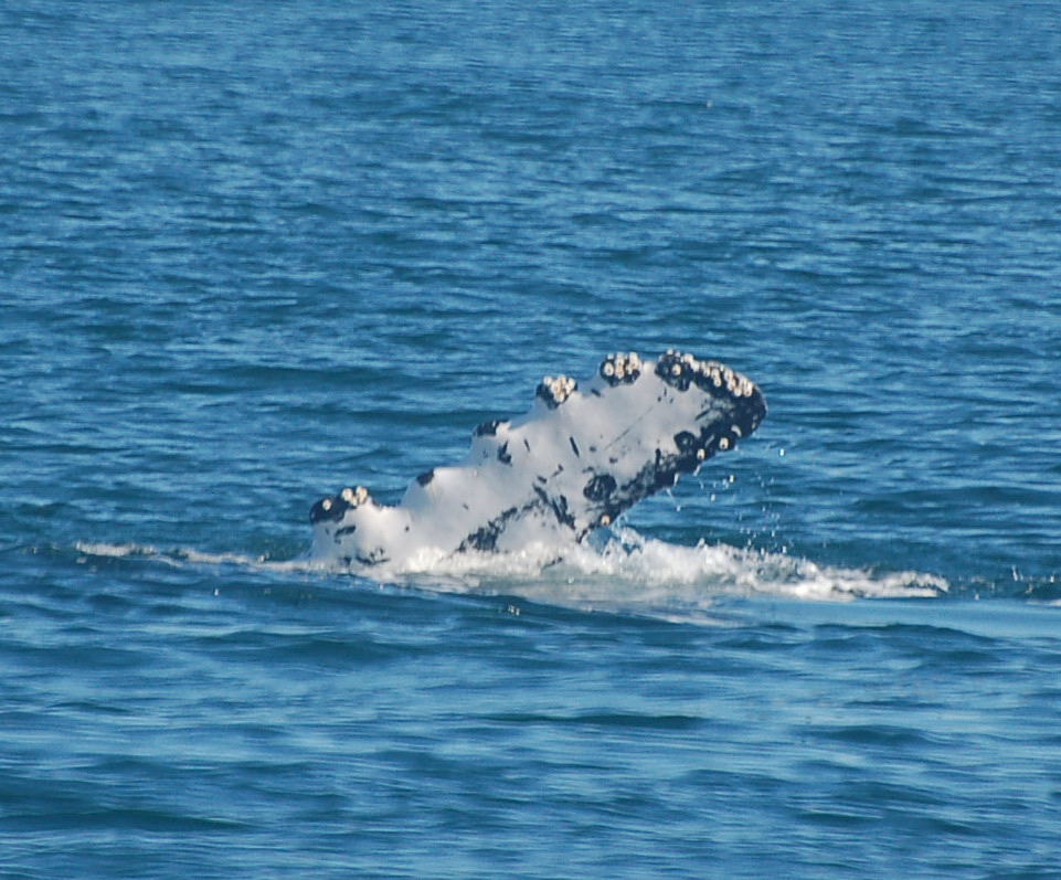 [DSC_1552.JPG]