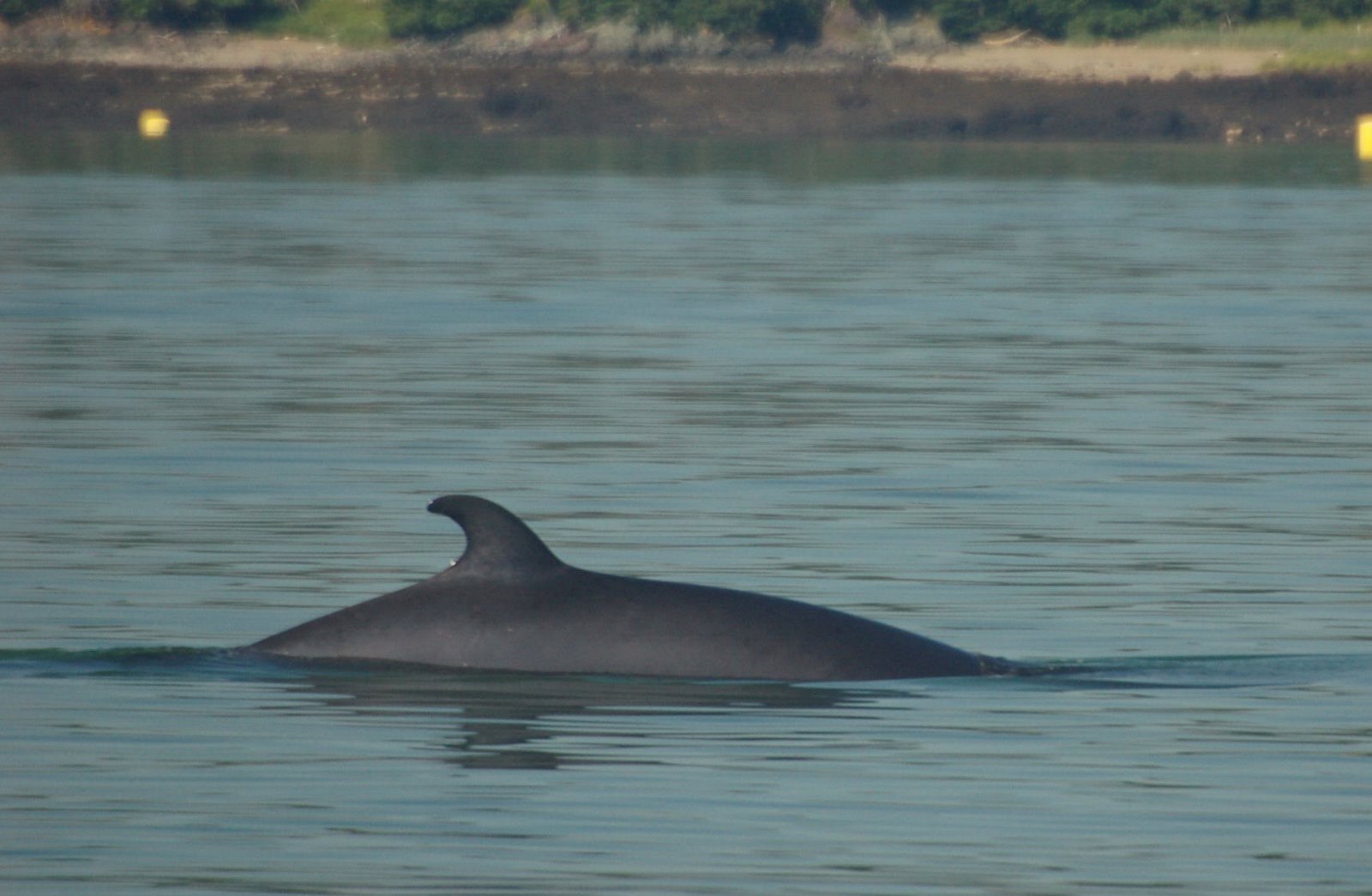 [DSC_2736.JPG]