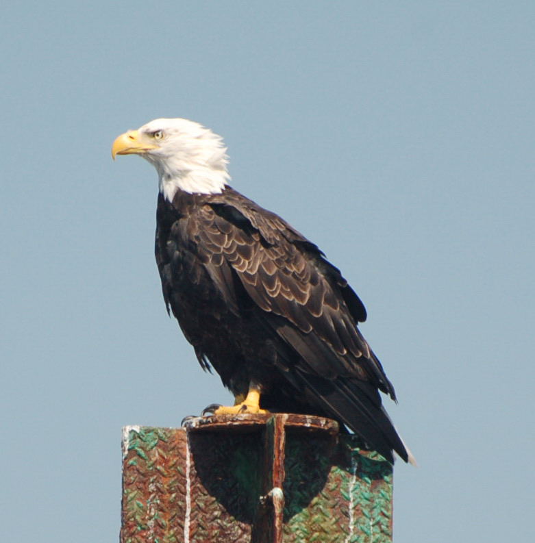 [DSC_3606.JPG]