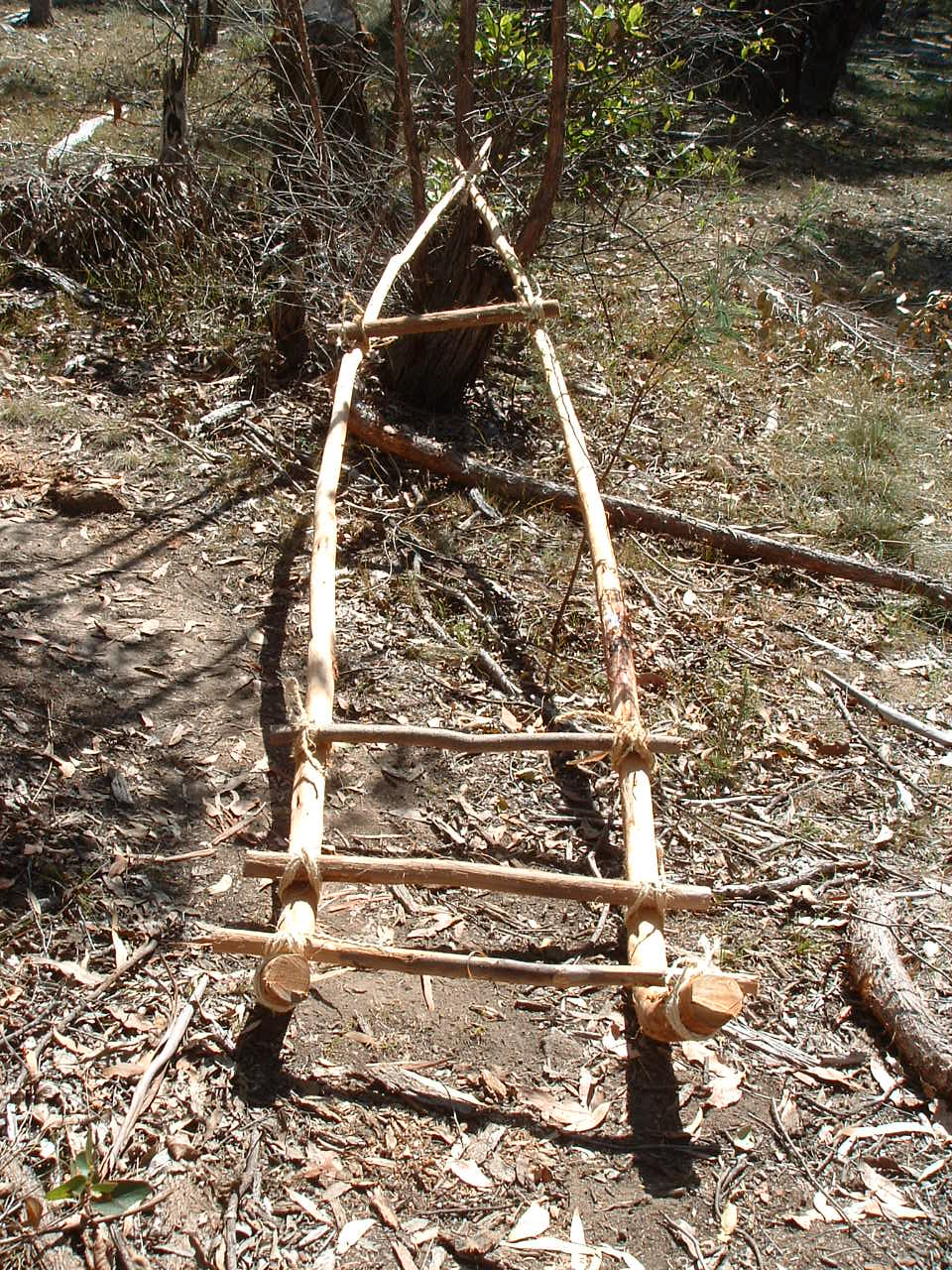 Native American Travois