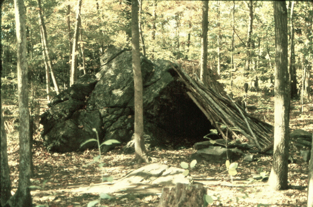 Native Shelters