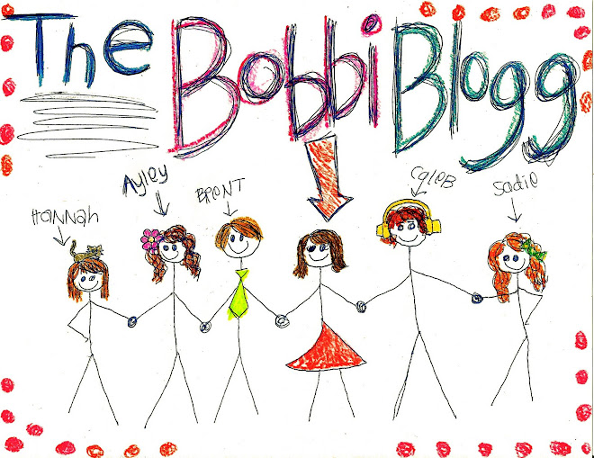 the bobbiblogg