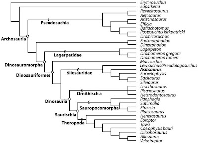 asilisaurus kongwe