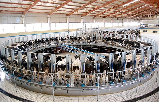 [milking-machine_1004514i.jpg]