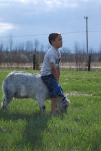 Levi and Rudy...